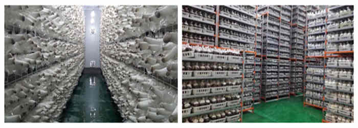 食用菌車(chē)間接種環(huán)境、用具的消毒滅菌