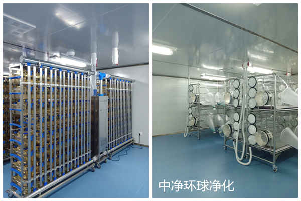 動物實驗室 動物實驗室