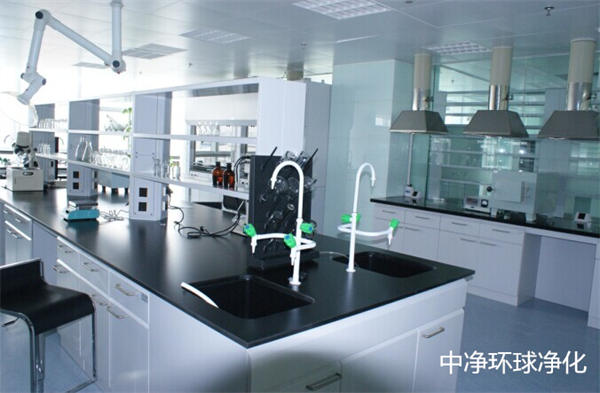 動物實驗室 動物實驗室