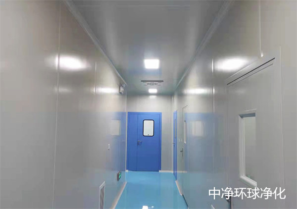 工廠潔凈車間 工廠潔凈車間